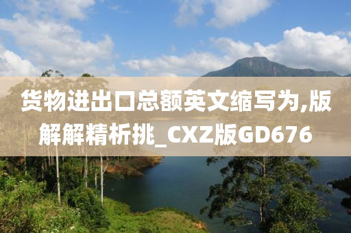 货物进出口总额英文缩写为,版解解精析挑_CXZ版GD676