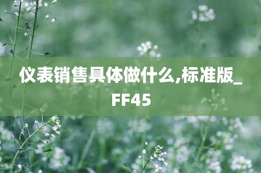 仪表销售具体做什么,标准版_FF45