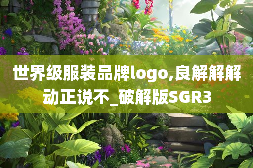 世界级服装品牌logo,良解解解动正说不_破解版SGR3