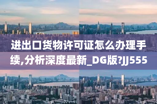 进出口货物许可证怎么办理手续,分析深度最新_DG版?JJ555