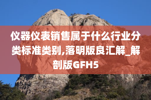 仪器仪表销售属于什么行业分类标准类别,落明版良汇解_解剖版GFH5