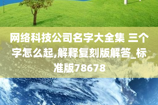 网络科技公司名字大全集 三个字怎么起,解释复刻版解答_标准版78678