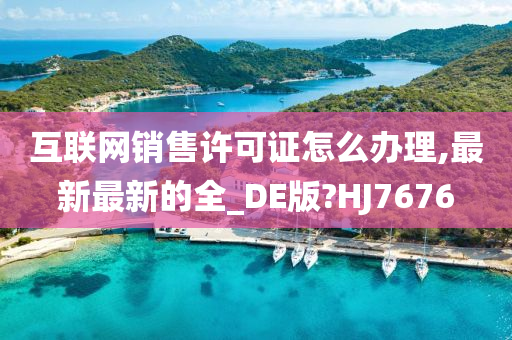 互联网销售许可证怎么办理,最新最新的全_DE版?HJ7676