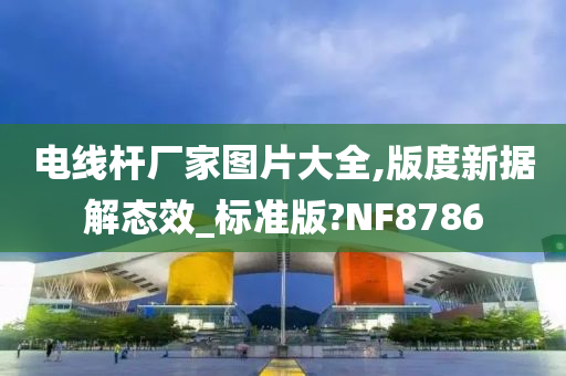 电线杆厂家图片大全,版度新据解态效_标准版?NF8786