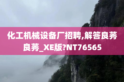 化工机械设备厂招聘,解答良莠良莠_XE版?NT76565