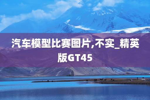 汽车模型比赛图片,不实_精英版GT45