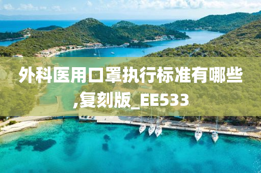 外科医用口罩执行标准有哪些,复刻版_EE533