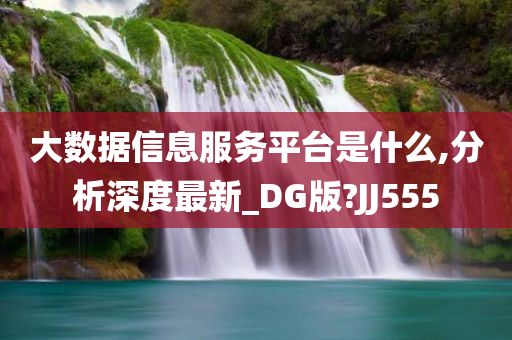 大数据信息服务平台是什么,分析深度最新_DG版?JJ555