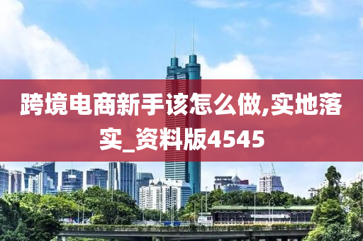 跨境电商新手该怎么做,实地落实_资料版4545