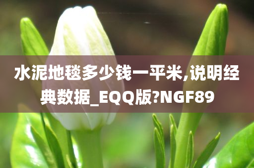 水泥地毯多少钱一平米,说明经典数据_EQQ版?NGF89