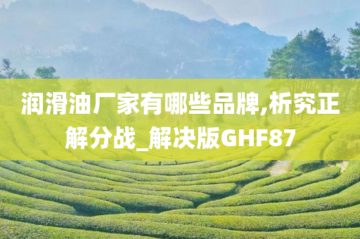 润滑油厂家有哪些品牌,析究正解分战_解决版GHF87