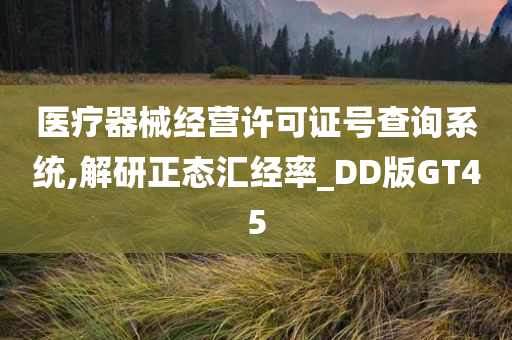 医疗器械经营许可证号查询系统,解研正态汇经率_DD版GT45