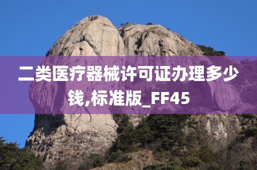 二类医疗器械许可证办理多少钱,标准版_FF45