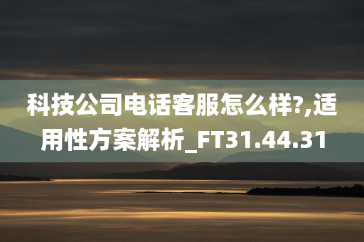 科技公司电话客服怎么样?,适用性方案解析_FT31.44.31