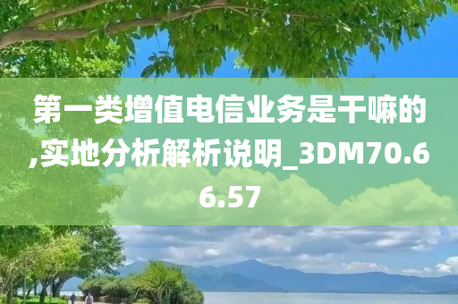 第一类增值电信业务是干嘛的,实地分析解析说明_3DM70.66.57