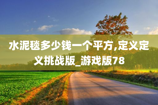 水泥毯多少钱一个平方,定义定义挑战版_游戏版78