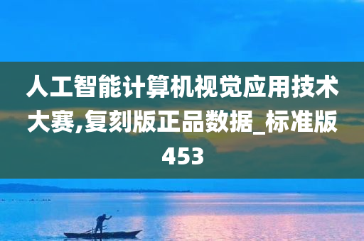 人工智能计算机视觉应用技术大赛,复刻版正品数据_标准版453