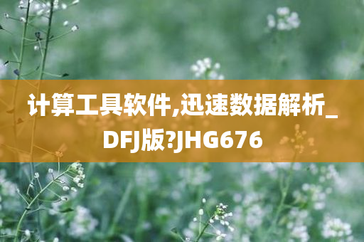 计算工具软件,迅速数据解析_DFJ版?JHG676