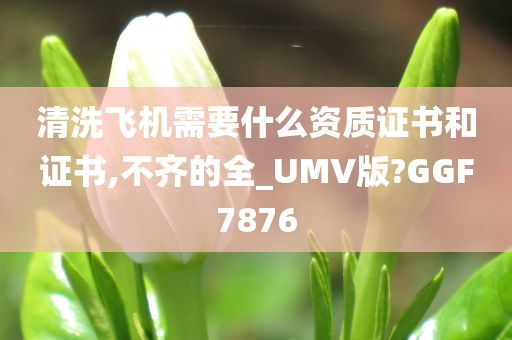 清洗飞机需要什么资质证书和证书,不齐的全_UMV版?GGF7876