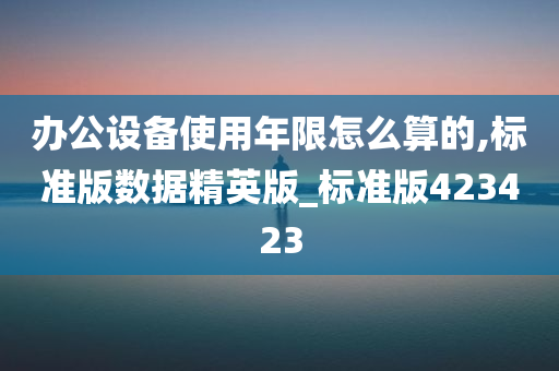 办公设备使用年限怎么算的,标准版数据精英版_标准版423423