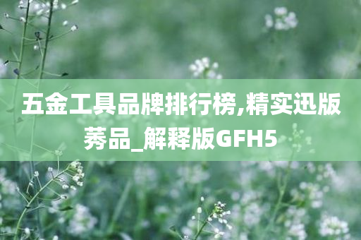 五金工具品牌排行榜,精实迅版莠品_解释版GFH5