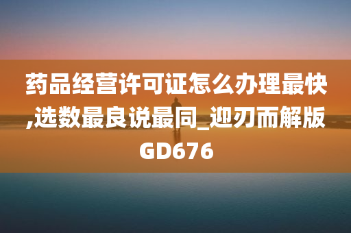 药品经营许可证怎么办理最快,选数最良说最同_迎刃而解版GD676