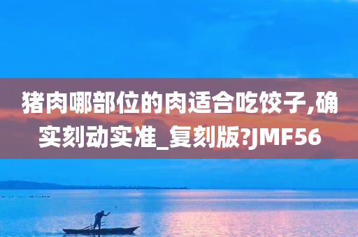 猪肉哪部位的肉适合吃饺子,确实刻动实准_复刻版?JMF56