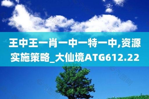 王中王一肖一中一特一中,资源实施策略_大仙境ATG612.22