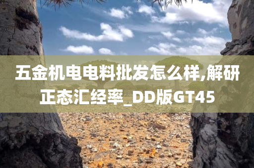 五金机电电料批发怎么样,解研正态汇经率_DD版GT45