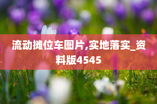 流动摊位车图片,实地落实_资料版4545