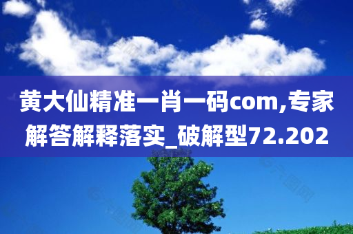 黄大仙精准一肖一码com,专家解答解释落实_破解型72.202