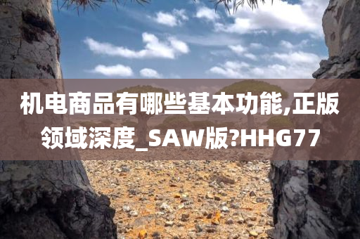 机电商品有哪些基本功能,正版领域深度_SAW版?HHG77