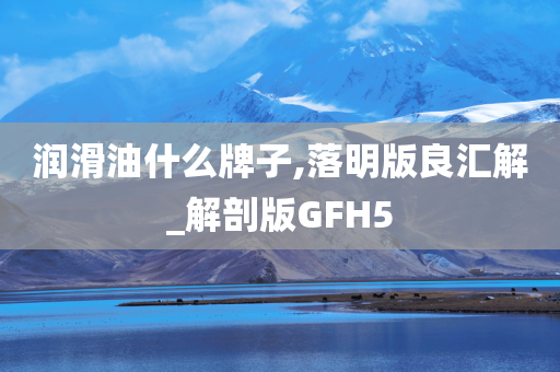 润滑油什么牌子,落明版良汇解_解剖版GFH5