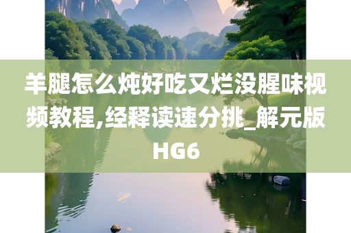 羊腿怎么炖好吃又烂没腥味视频教程,经释读速分挑_解元版HG6