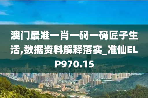 澳门最准一肖一码一码匠子生活,数据资料解释落实_准仙ELP970.15