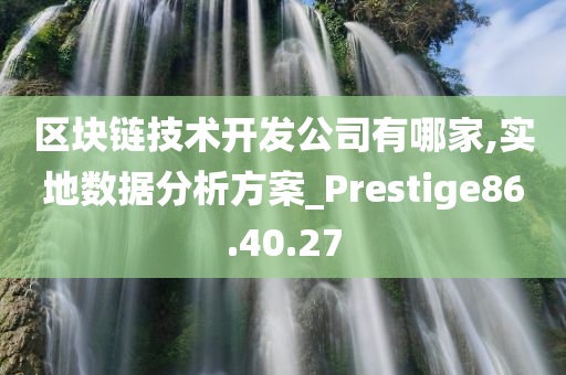 区块链技术开发公司有哪家,实地数据分析方案_Prestige86.40.27