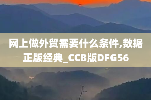 网上做外贸需要什么条件,数据正版经典_CCB版DFG56