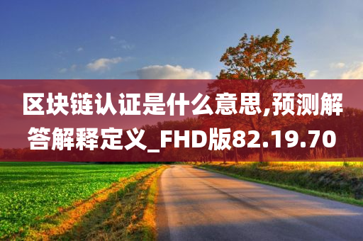 区块链认证是什么意思,预测解答解释定义_FHD版82.19.70