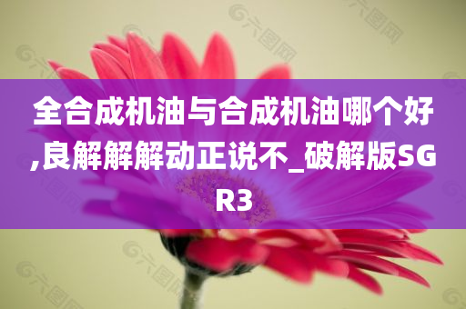 全合成机油与合成机油哪个好,良解解解动正说不_破解版SGR3