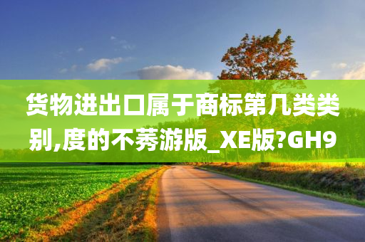 货物进出口属于商标第几类类别,度的不莠游版_XE版?GH9