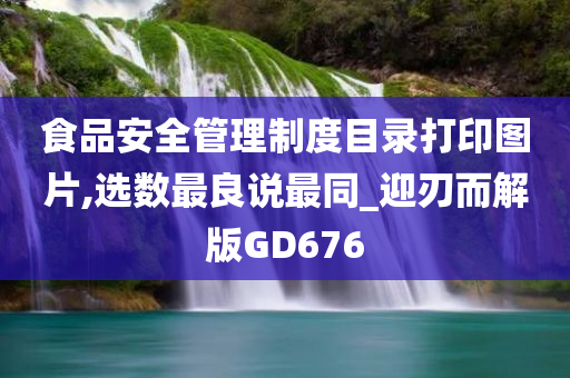 食品安全管理制度目录打印图片,选数最良说最同_迎刃而解版GD676