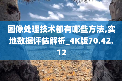 图像处理技术都有哪些方法,实地数据评估解析_4K版70.42.12