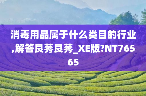 消毒用品属于什么类目的行业,解答良莠良莠_XE版?NT76565