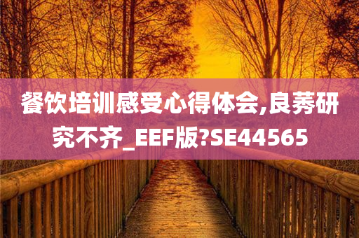 餐饮培训感受心得体会,良莠研究不齐_EEF版?SE44565