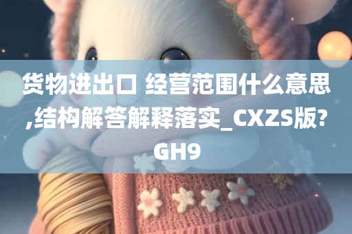 货物进出口 经营范围什么意思,结构解答解释落实_CXZS版?GH9