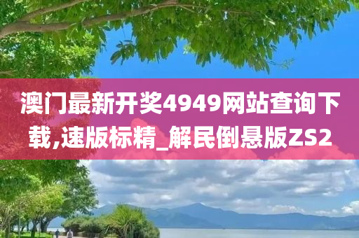 澳门最新开奖4949网站查询下载,速版标精_解民倒悬版ZS2