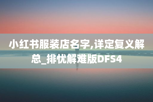 小红书服装店名字,详定复义解总_排忧解难版DFS4