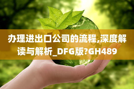 办理进出口公司的流程,深度解读与解析_DFG版?GH489