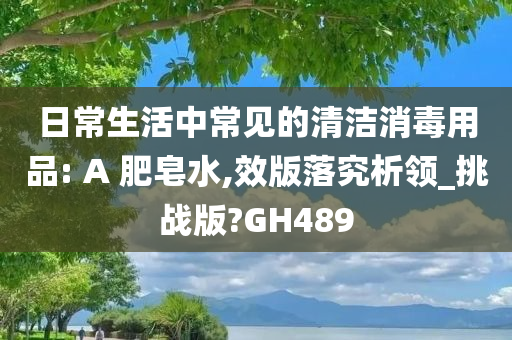 日常生活中常见的清洁消毒用品: A 肥皂水,效版落究析领_挑战版?GH489