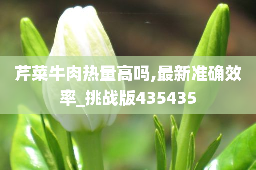 芹菜牛肉热量高吗,最新准确效率_挑战版435435